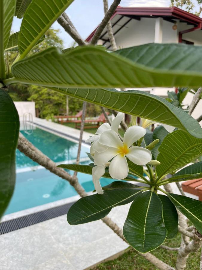 Finch Tangalle Exterior foto