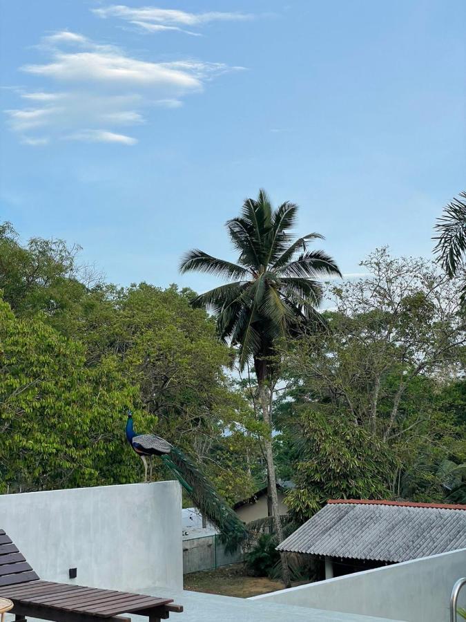Finch Tangalle Exterior foto