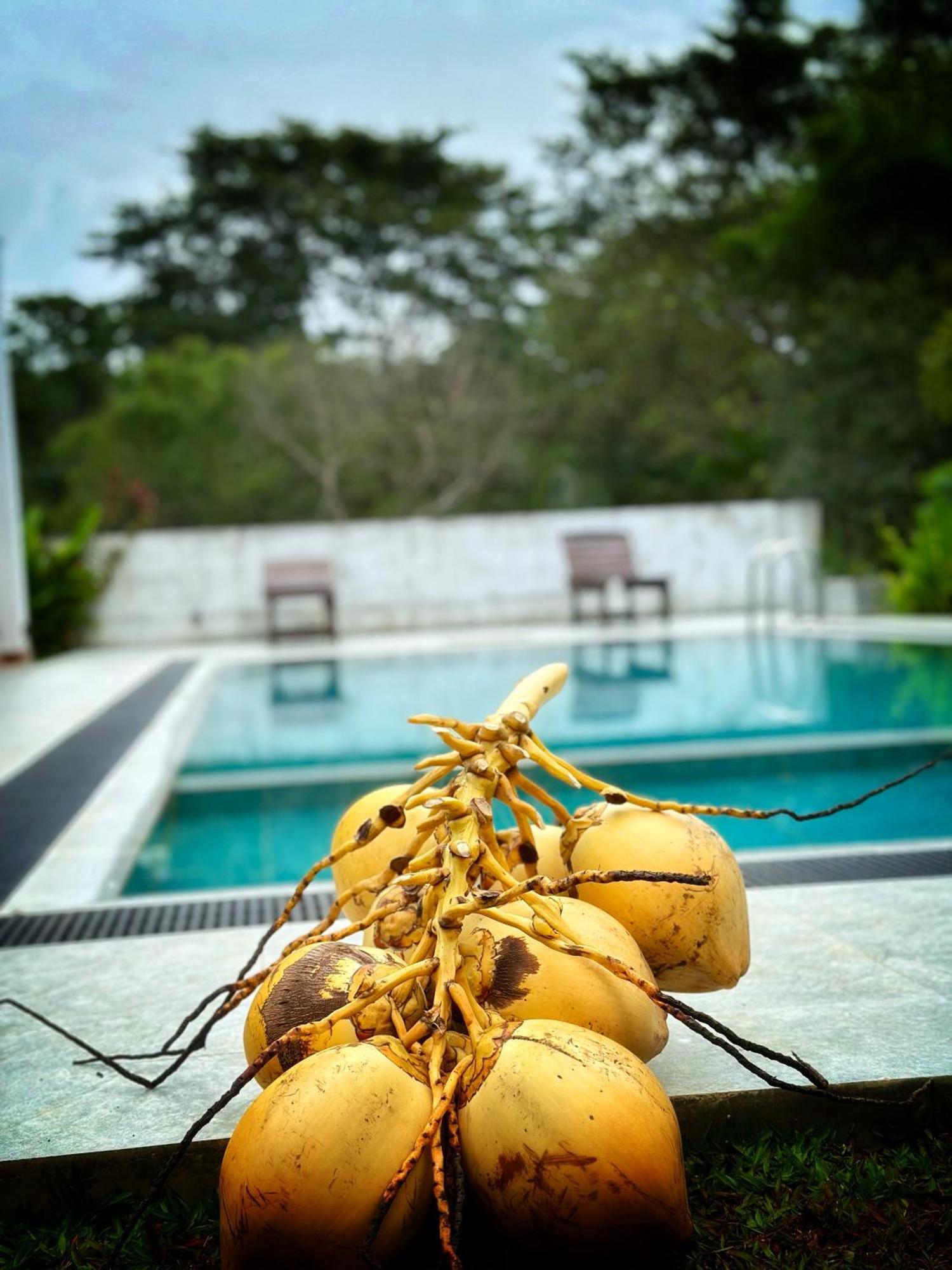 Finch Tangalle Exterior foto